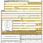 Ds 11 Online Application Form For A New Passport Passports And Free