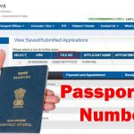 Passport File Number YouTube