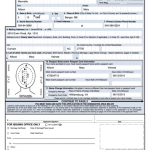 Passport Renewal Application Fillable Form 2022 FriendsofCampFireCats